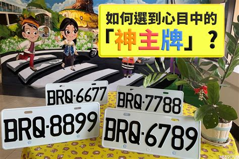 車牌運勢|「車牌選號」指南：如何透過數字能量提升行車平安與運勢？